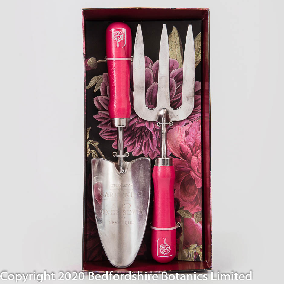 ROSA CHINENSISTrowel & Fork Set in Gift Box RHS Gifts from Burgon & Ball